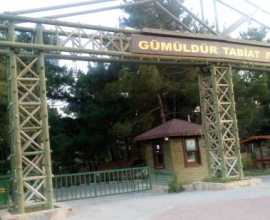 Gümüldür Orman Kampı